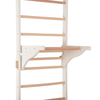 Sprossenwand mit Klimmzugstange & Dip-Barren – PRO PURE – weitere Produktansicht 15 – RINAGYM