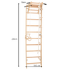 Sprossenwand SPR A mit Klimmzugstange 230 cm – weitere Produktansicht 2 – RINAGYM