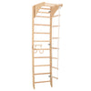 Sprossenwand SPR C mit Klimmzugstange 230 cm – weitere Produktansicht 3 – RINAGYM